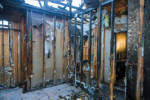Professional Fire Damage Restoration technician working in Bokeelia, FL